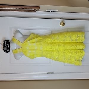 Daniel Cremieux Dress 4 Daisy Yellow New Floral Lace Natalie